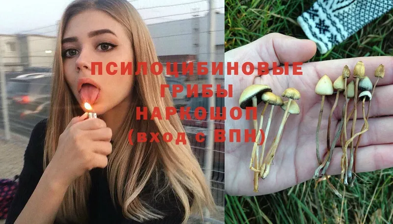 купить  цена  Ряжск  Псилоцибиновые грибы MAGIC MUSHROOMS 